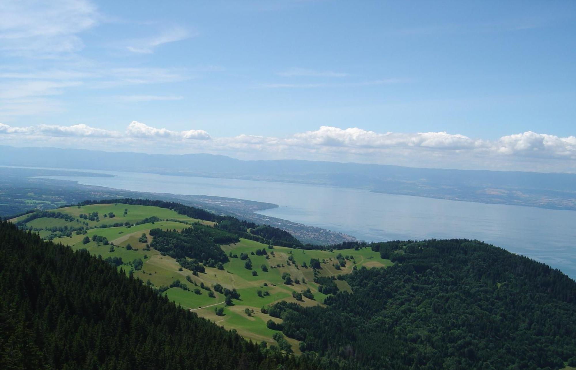 Chalet Les Alpages Vue Panoramique Sur Le Lac Leman Thollon-les-Memises Exterior foto